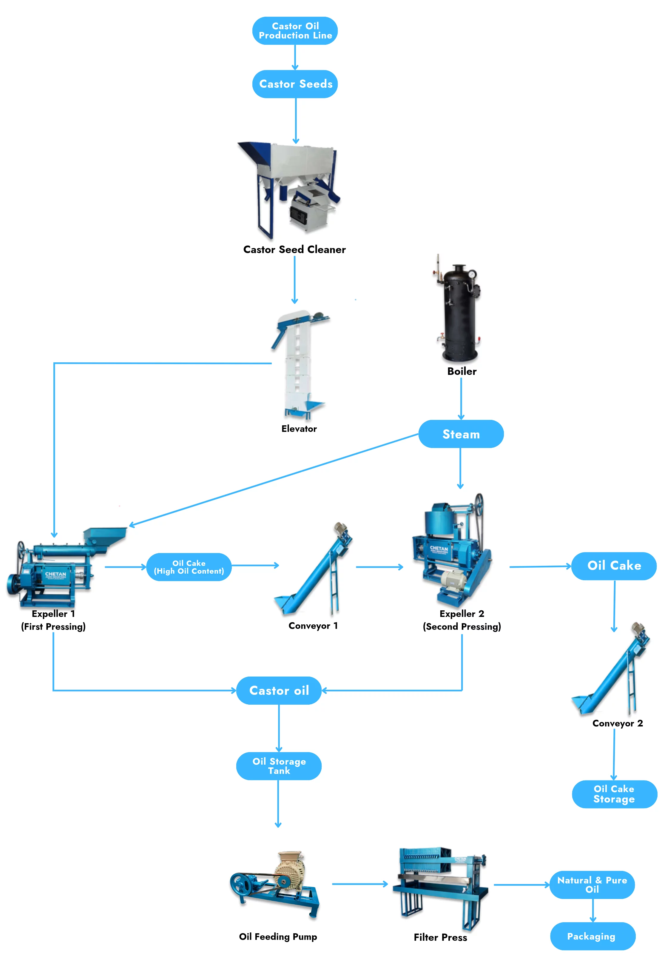 Visual Flowchart: Castor Oil Extraction Process Diagram